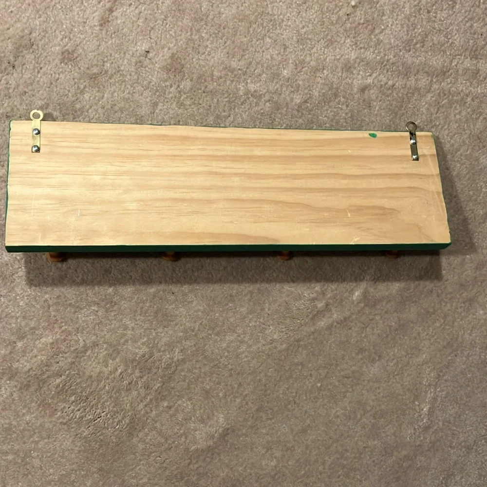 Michigan State Green and White 4 Peg Wall Hook Rack